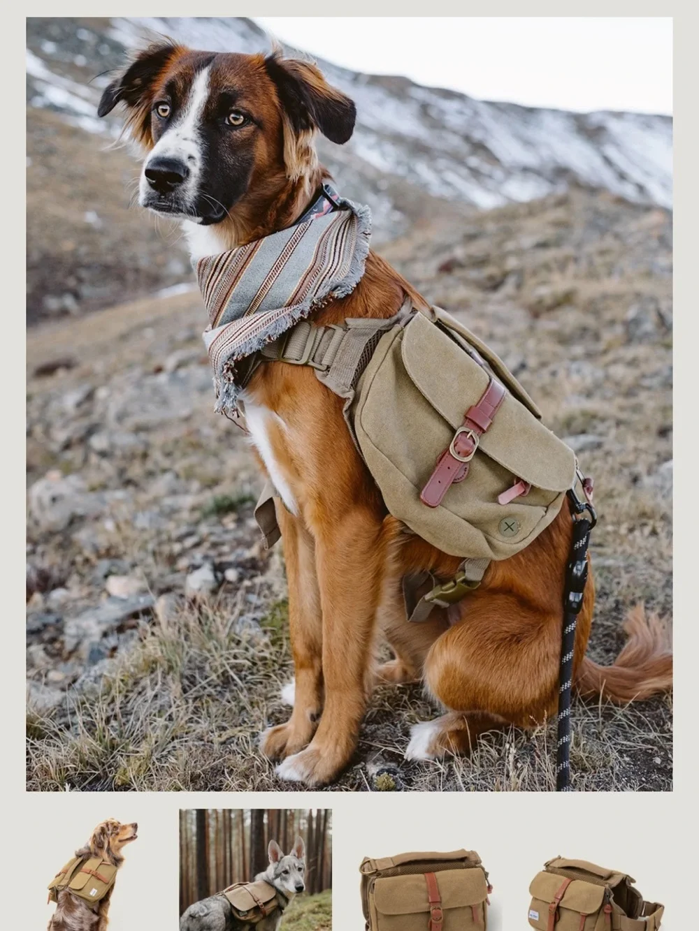 Wolf Republic Ranger Backpack for Dogs